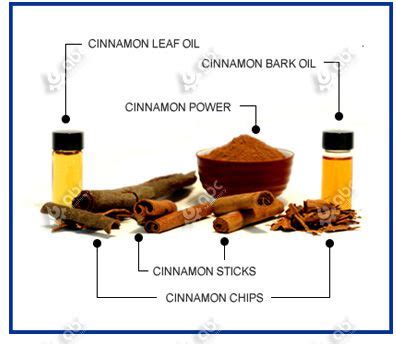  계피 정유 추출 기술과 고급 향료 시장의 미래: 계피는 왜 이렇게 특별할까요?