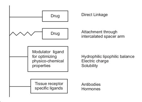  Dextran:  생체적합성 수용체 고정 및 약물 전달 시스템에 혁신을 가져다줄 것인가?!