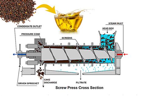 Flaxseed Oil: 압착 과정을 통한 고품질 식용유 생산에 활용!